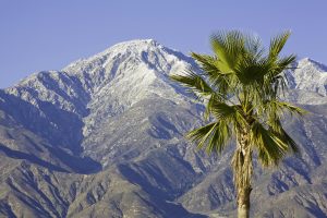 Mt. Baldy